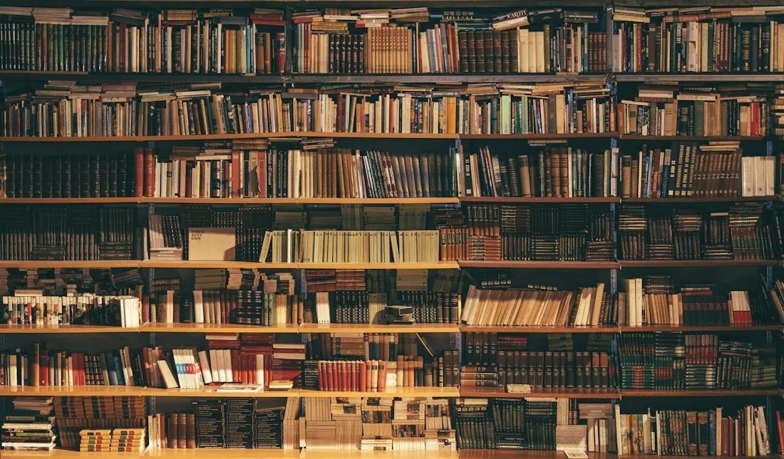 Warmly lit library shelves filled with books